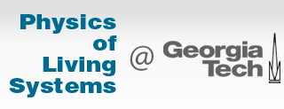 File:LogoHeader.png