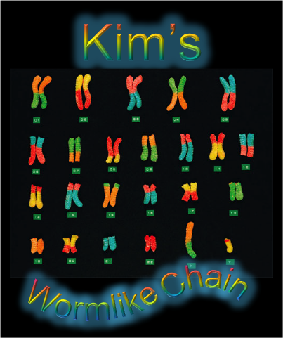 File:Wormlike chains.png